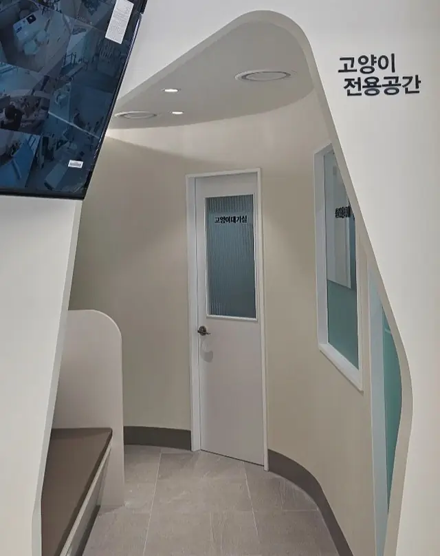 ‘고양이 전용공간’ 표시가 있는 고양이 진료 구역 복도